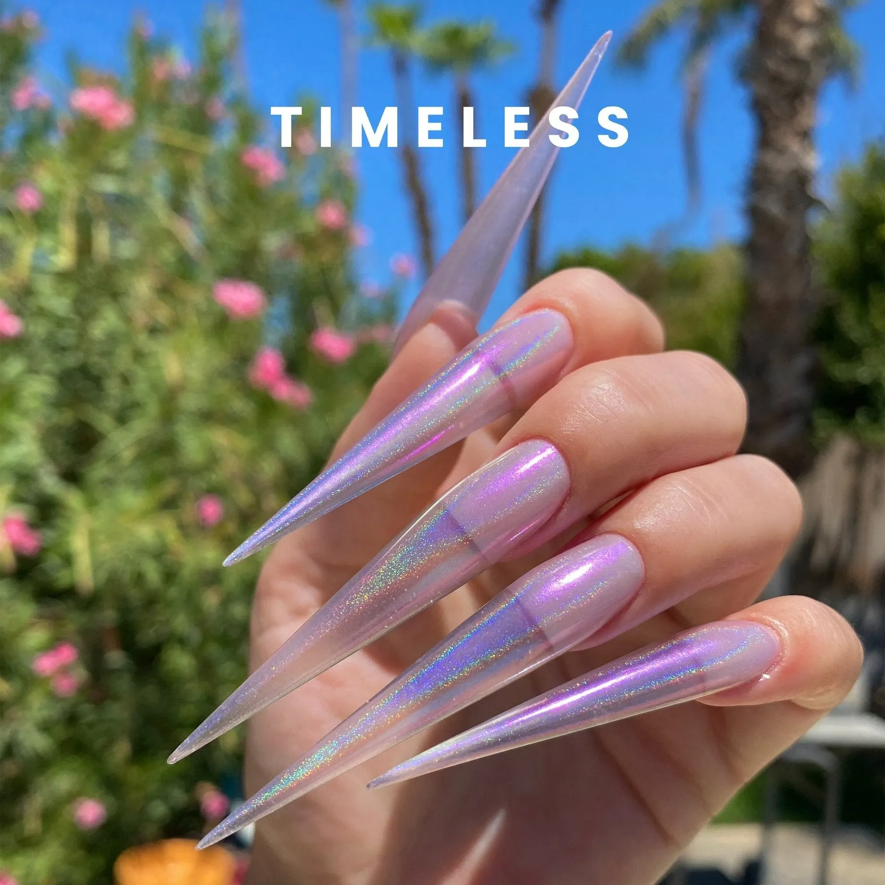 V Beauty Pure Chrome Powder - Timeless